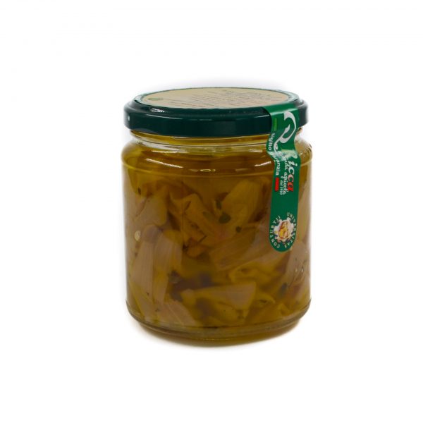 Cipolla